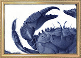 Crab - detail