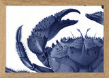 Crab - detail