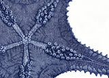 Sea Star bottom view - detail