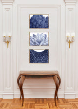 Stony Corals - detail II.