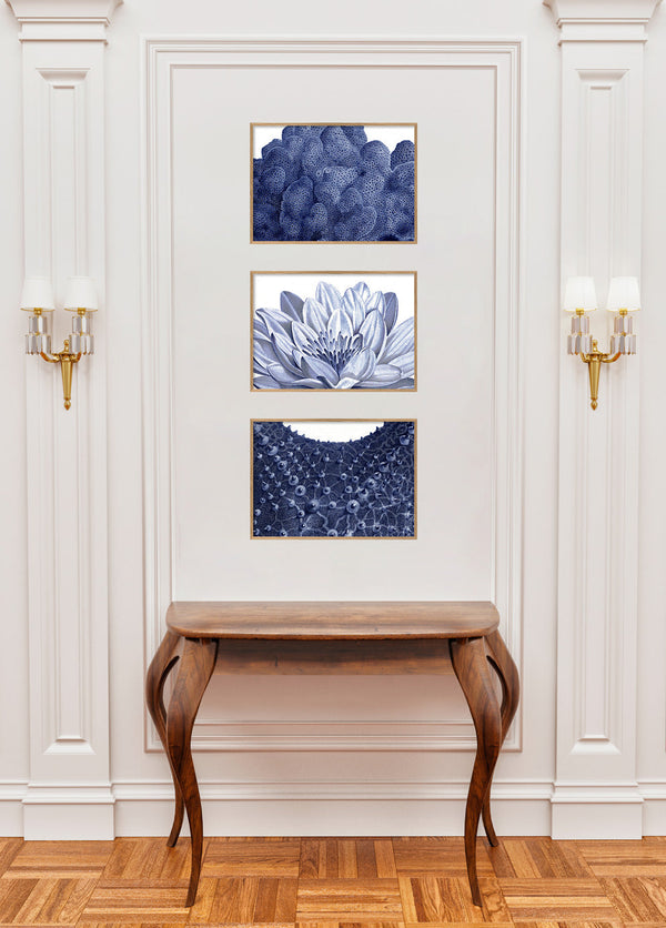 White Lily - detail I.