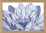 White Lily - detail I.