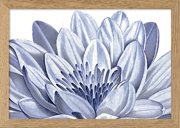 White Lily - detail I.