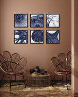 Closed Clam - detail