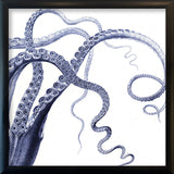 Octopus - detail II.