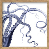 Octopus - detail II.