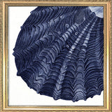 Closed Clam - detail