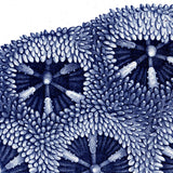 Stony Corals - detail III.