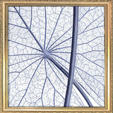 White Lily - detail II.