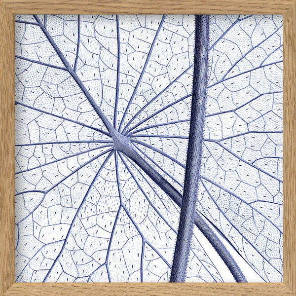 White Lily - detail II.