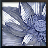 Sacred Lotus - detail