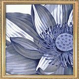 Sacred Lotus - detail