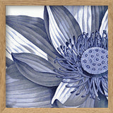 Sacred Lotus - detail