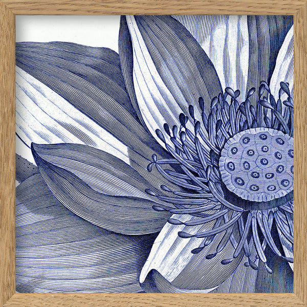 Sacred Lotus - detail