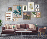 Colombi-Galline Goura