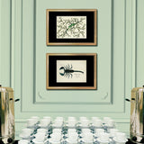 Scorpion Africain (Buthus)