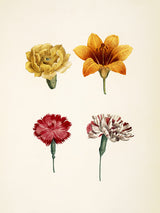 Compound Flower 2 - Outlet