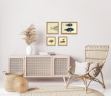 Gold Spot Rabbitfish (Teuthis Striolata) Tail. Mini Print