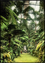 Palm House Frankfurt am Main