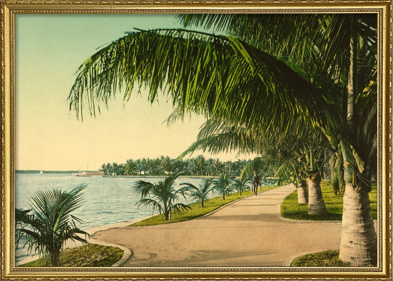 The Walk at Palm Beach