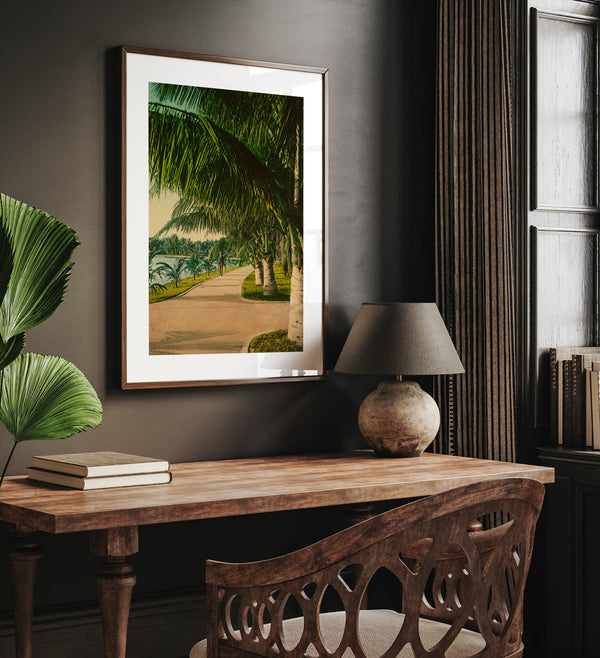 The Walk at Palm Beach