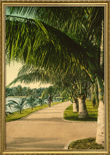 The Walk at Palm Beach