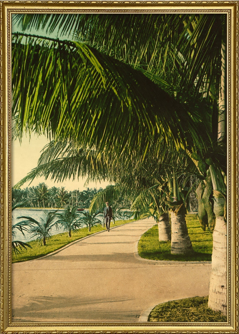 The Walk at Palm Beach