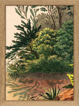 Mauritia Aculeata Close Up. Mini Print