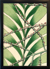 Geonoma Multiflora Close Up. Mini Print