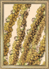 Guilielma Speciosa Close Up. Mini Print