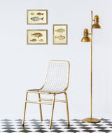 Gold Spot Rabbitfish (Teuthis Striolata) and Black-Edged Sweeper (Pempheris Mangula). Mini Print