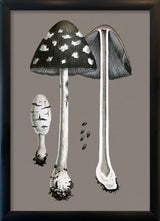 Fungi and details. Mini Print