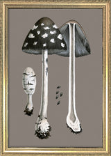 Fungi and details. Mini Print