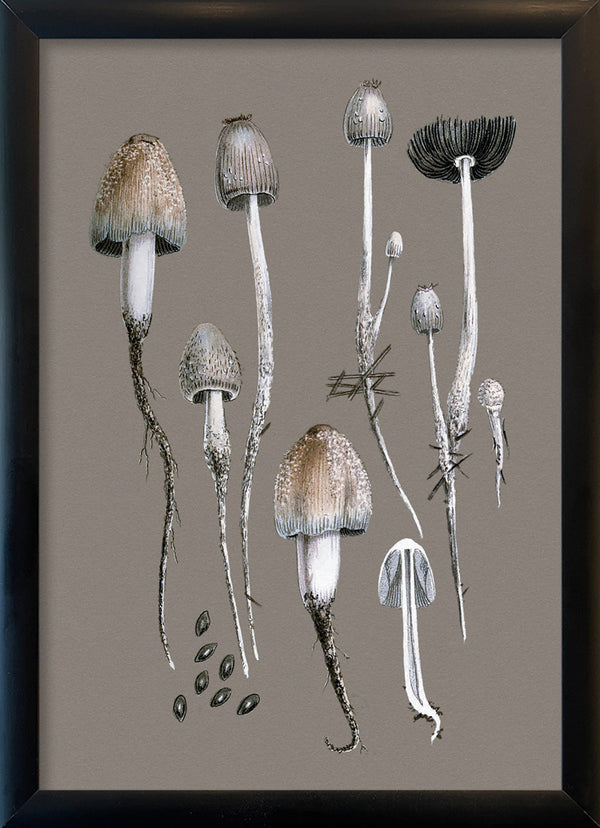 Fungi and Details. Mini Print