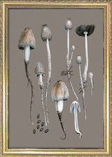 Fungi and Details. Mini Print