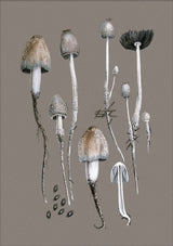 Fungi and Details. Mini Print