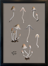 Small Fungi and Details. Mini Print