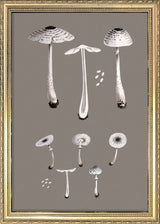 White Fungi and Details. Mini Print