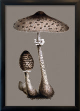 Tall Fungi. Mini Print