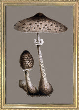 Tall Fungi. Mini Print
