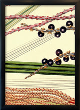 Bentinkia Coddapanna Close Up. Mini Print