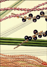 Bentinkia Coddapanna Close Up. Mini Print