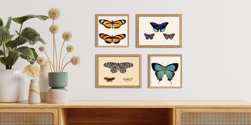 Three Butterflies. Mini Print