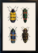 Four Beetles. Mini Print