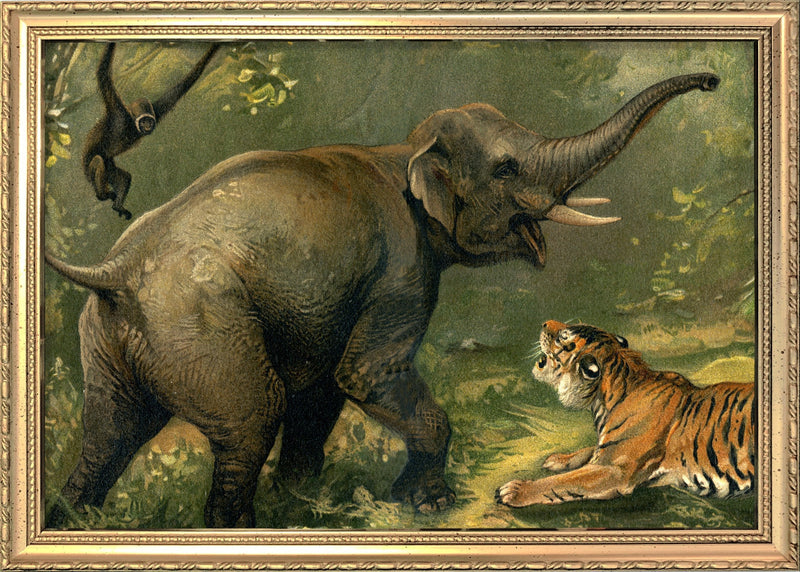 Elephant and Tiger. Mini Print