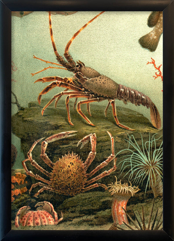 Under the Sea Lobster and Crab. Mini Print
