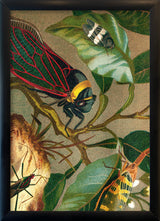 Cicadas Close Up. Mini Print
