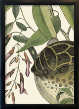 Puffer Fish Close Up. Mini Print