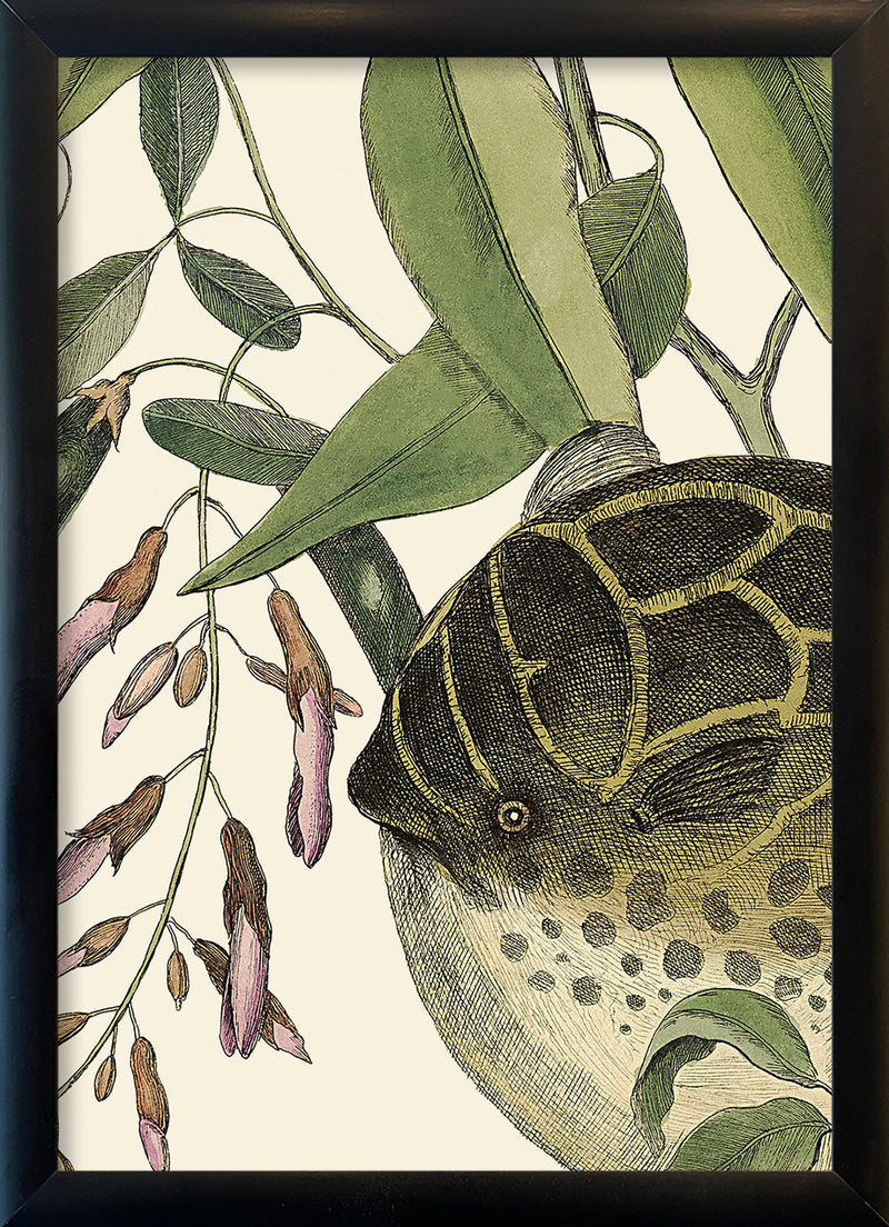 Puffer Fish Close Up. Mini Print