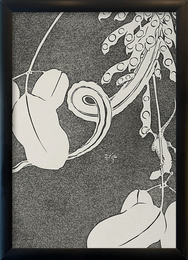 Natural Study II. Mini Print